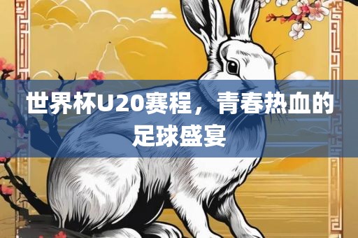 世界杯U20赛程，青春热血的足球盛宴