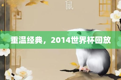 重温经典，黄冈市中杰窑炉设备有限公司2014世界杯回放