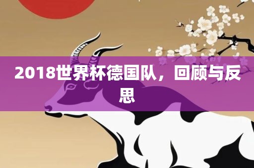 2018世界杯德国队，回顾与反思