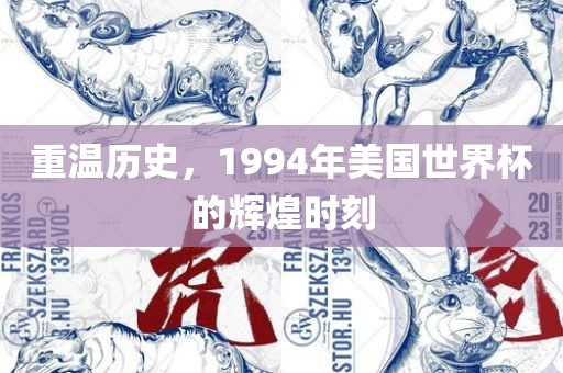 重温历史，1994年美国世界杯的辉煌时刻黄冈市中杰窑炉设备有限公司