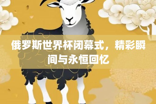 俄罗斯世界杯闭幕式，精彩瞬间与永恒回忆黄冈市中杰窑炉设备有限公司