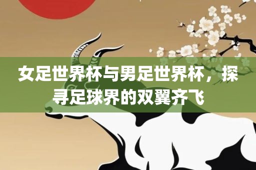 女足世界杯与男足世界杯,探寻足球界的双翼齐飞