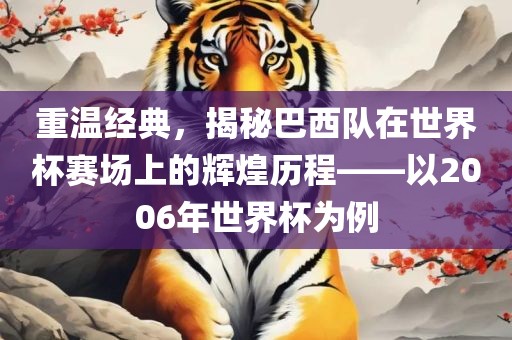 黄冈市中杰窑炉设备有限公司重温经典，揭秘巴西队在世界杯赛场上的辉煌历程——以2006年世界杯为例