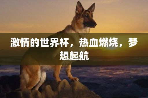 激情的世界杯,热血燃烧,梦想起航