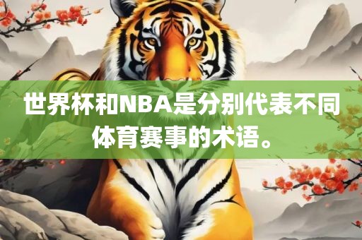 世界杯和NBA是分别代表不同体育赛事的术语。