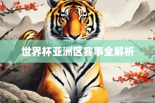 世界杯亚洲区赛事全解析