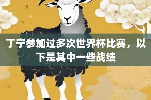 丁宁参加过多次世界杯比赛，以下是其中一些战绩