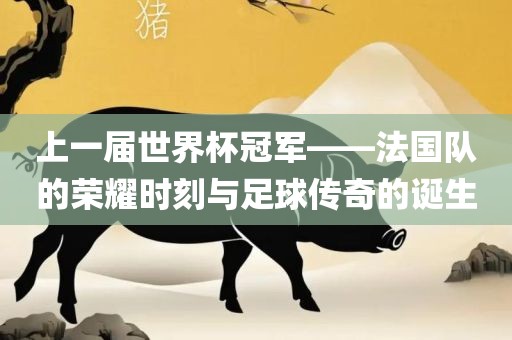 上一届世界杯冠军——法国队的荣耀时刻与足球传奇的诞生黄冈市中杰窑炉设备有限公司