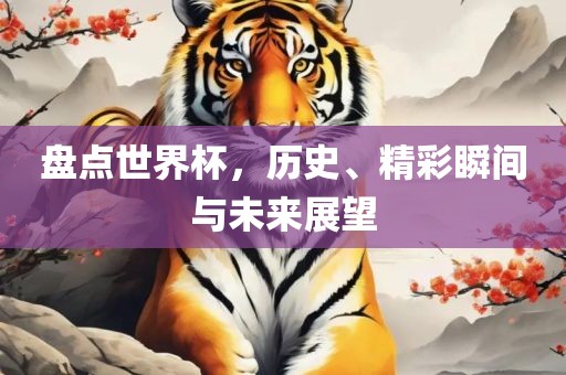 盘点世界杯，历史、精彩瞬间与未来展望黄冈市中杰窑炉设备有限公司