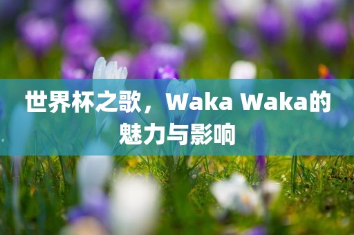 世界杯之歌,Waka Waka的魅力与影响