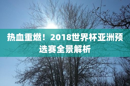 热血重燃!2018世界杯亚洲预选赛全景解析