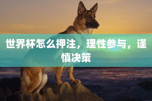 世界杯怎么押注，理性参与，谨慎决策黄冈市中杰窑炉设备有限公司