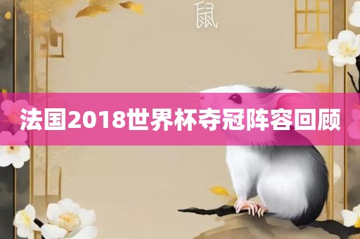 法国2018世界杯夺冠阵容回顾