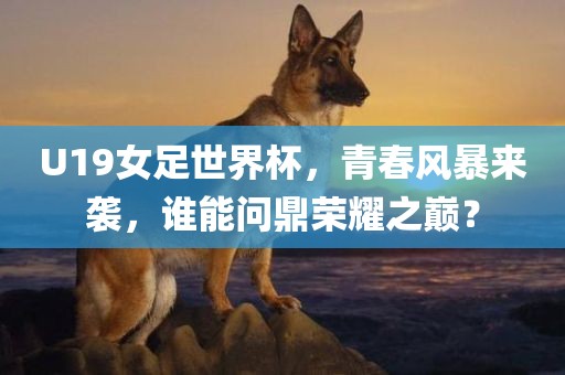 U19女足世界杯,青春风暴来袭,谁能问鼎荣耀之巅?