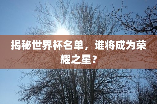 揭秘世界杯名单，谁将成为荣耀之星？