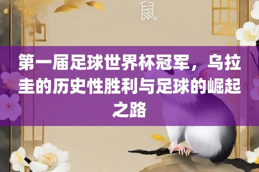 第一届足球世界杯冠军,乌拉圭的历史性胜利与足球的崛起之路黄冈市中杰窑炉设备有限公司