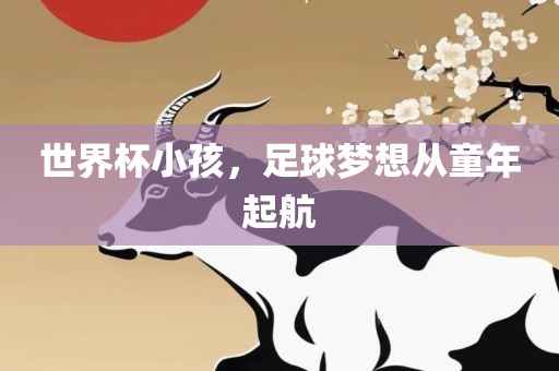 世界杯小孩,足球梦想从童年起航