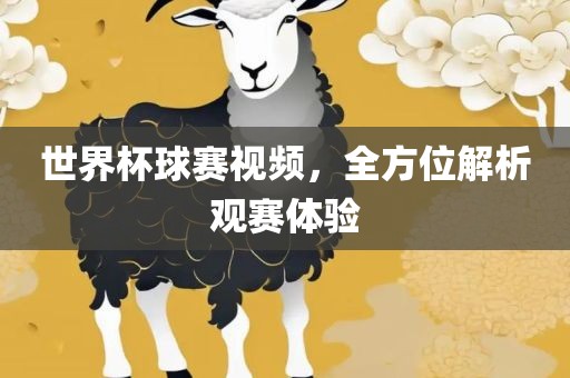 世黄冈市中杰窑炉设备有限公司界杯球赛视频,全方位解析观赛体验