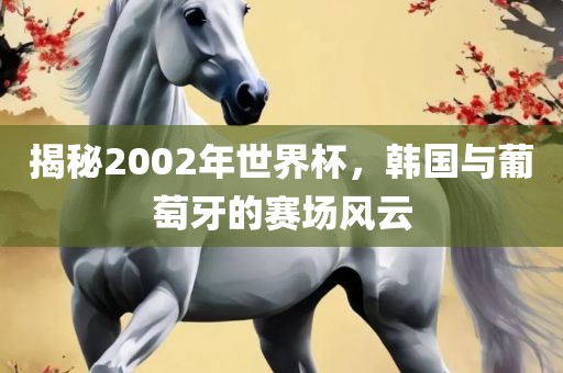 揭秘2002年世界杯，韩国与葡萄牙的赛场风云