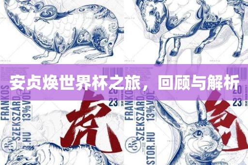 安贞焕世界杯之旅,回顾与解析黄冈市中杰窑炉设备有限公司