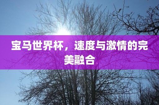 宝马世黄冈市中杰窑炉设备有限公司界杯,速度与激情的完美融合
