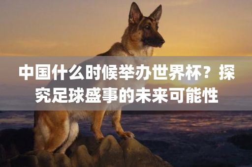 中国什么时候举办世界杯？探究足球盛事的未来可能性