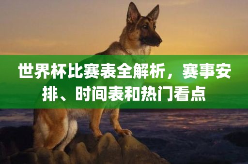 世界杯比赛表全解析,赛事安排、时间表和热门看点黄冈市中杰窑炉设备有限公司