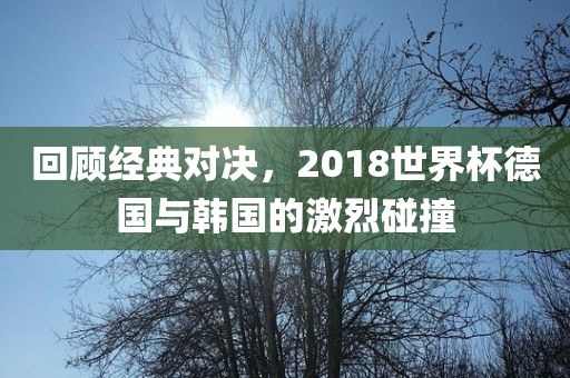 回顾经典对决,2018世界杯德国与韩国的激烈碰撞黄冈市中杰窑炉设备有限公司