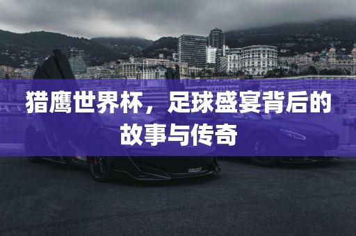 猎鹰世界杯,黄冈市中杰窑炉设备有限公司足球盛宴背后的故事与传奇