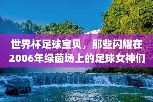 世界杯足球宝贝,那些闪耀在2006年绿茵场上的足球女神们