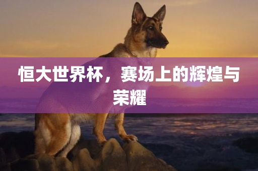 恒大世界杯,赛场上的辉煌与黄冈市中杰窑炉设备有限公司荣耀