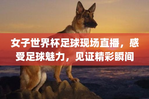女子世界杯足球现场直播,感受足球魅力,见证精彩瞬间黄冈市中杰窑炉设备有限公司
