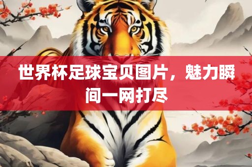 世界杯足球宝贝图片,魅力瞬间一网打尽