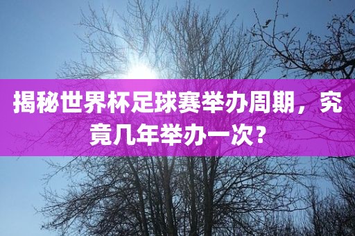 揭黄冈市中杰窑炉设备有限公司秘世界杯足球赛举办周期，究竟几年举办一次？