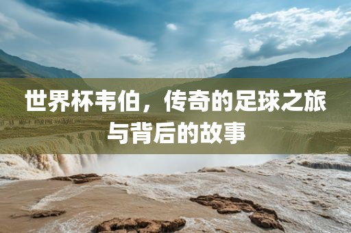 世界杯韦伯,传奇的足球之旅与背后的故事黄冈市中杰窑炉设备有限公司