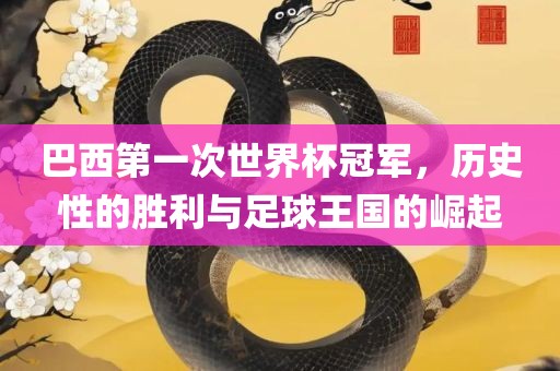 巴西第一次世界杯冠军,历史性的胜利与足球王国的崛起黄冈市中杰窑炉设备有限公司