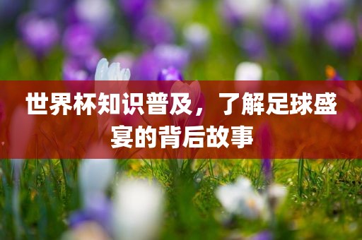 世界杯知识普及,了解足球盛宴的背后故事黄冈市中杰窑炉设备有限公司
