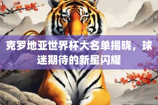 黄冈市中杰窑炉设备有限公司克罗地亚世界杯大名单揭晓,球迷期待的新星闪耀