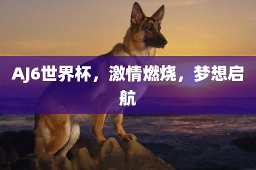 AJ6世界杯,激情燃烧,梦想启航
