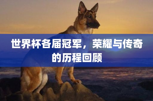 世界杯各届冠军，荣耀与传奇的历程回黄冈市中杰窑炉设备有限公司顾