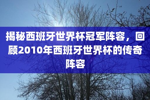 揭秘西班牙世界杯冠军阵容,回顾2黄冈市中杰窑炉设备有限公司010年西班牙世界杯的传奇阵容