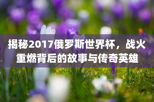 揭秘2017俄罗斯世界杯,战火重燃背后的故事与传奇英雄黄冈市中杰窑炉设备有限公司