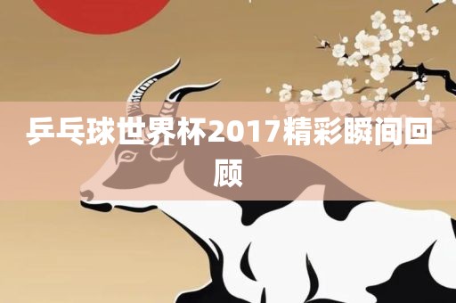 乒乓球世界杯2017精彩瞬间回顾黄冈市中杰窑炉设备有限公司