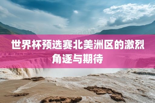 世界杯预选赛北美洲区的激烈角逐与期待黄冈市中杰窑炉设备有限公司