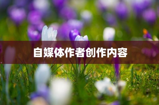 自媒体作者创作内容黄冈市中杰窑炉设备有限公司