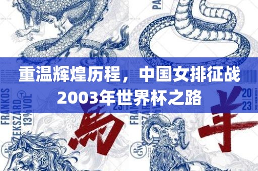 重温辉煌历程,中国女排征战2003年世界杯之路