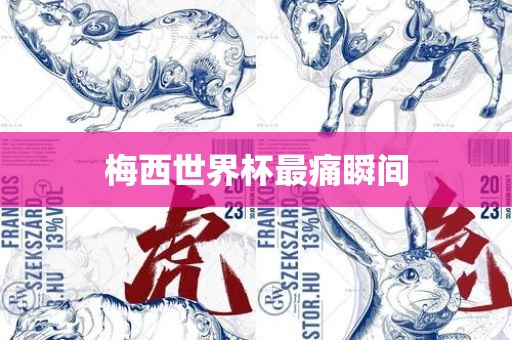 梅西世界杯最痛瞬间黄冈市中杰窑炉设备有限公司