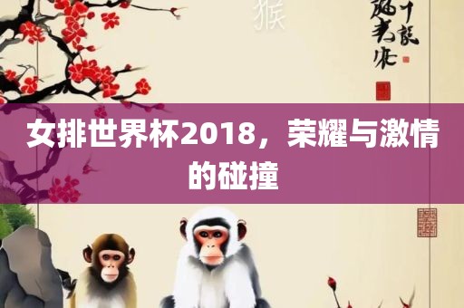 女排世界杯2018,荣耀与激情的碰撞
