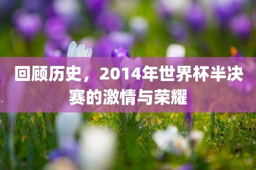 回顾历史，2014年世界杯半决赛黄冈市中杰窑炉设备有限公司的激情与荣耀