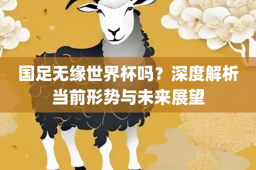 国足无缘世界杯吗?深度解析当前形势与未来展望黄冈市中杰窑炉设备有限公司